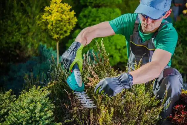 landscaping services Hendron
